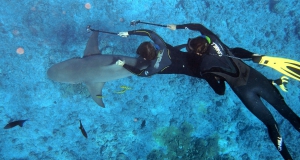 Scuba Diving&#039;s 2019 Readers Choice Awards Rank the World&#039;s Best Diving